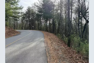 Lot 21 Buck Mountain Road, Purlear, NC 28665 - Photo 18