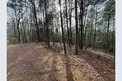 Lot 21 Buck Mountain Road, Purlear, NC 28665 - Photo 4