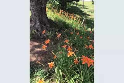 4105 Boone Trail, North Wilkesboro, NC 28659 - Photo 20