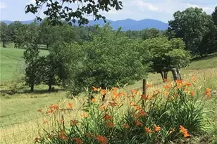 4105 Boone Trail, North Wilkesboro, NC 28659 - Photo 34