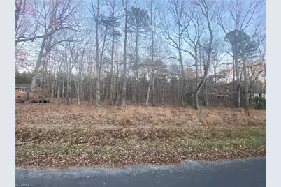 4707 Jaylee Place, Julian, NC 27283 - Photo 8