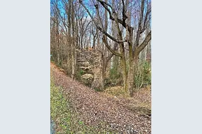 0 Gravitte Road, Roxboro, NC 27573 - Photo 4