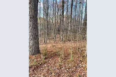 0 Gravitte Road, Roxboro, NC 27573 - Photo 8