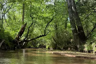 377 Concrete Works Rd, Winston-Salem, NC 27107 - Photo 34