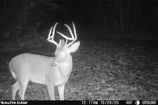 377 Concrete Works Rd, Winston-Salem, NC 27107 - Photo 42