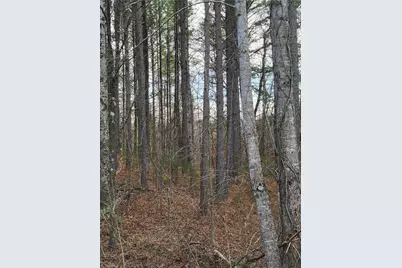 1671 Bowen Road, Pinnacle, NC 27043 - Photo 10