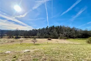 1114 Red Top Rd, Wilkesboro, NC 28697 - Photo 28