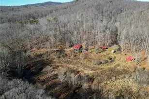 203 Brannock Ln, Pilot Mountain, NC 27041 - Photo 24