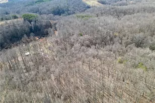 203 Brannock Ln, Pilot Mountain, NC 27041 - Photo 16