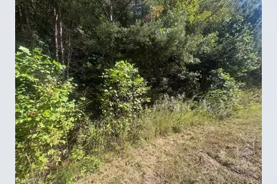 00 Parsonsville Road, Purlear, NC 28665 - Photo 1