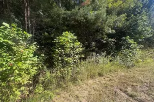 00 Parsonsville Rd, Purlear, NC 28665 - Photo 1