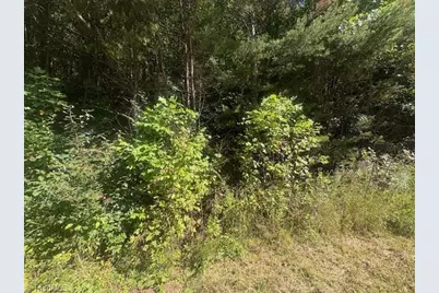 00 Parsonsville Road, Purlear, NC 28665 - Photo 2