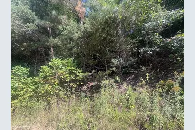 00 Parsonsville Road, Purlear, NC 28665 - Photo 4
