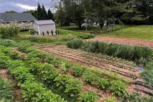 53 Wagoner St, Sparta, NC 28675 - Photo 22