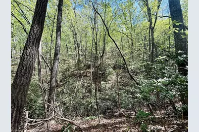 000 Big Rock Lane, Lowgap, NC 27024 - Photo 12