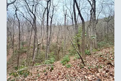 000 Big Rock Lane, Lowgap, NC 27024 - Photo 36