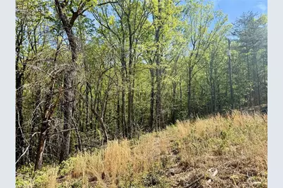 000 Big Rock Lane, Lowgap, NC 27024 - Photo 2