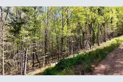 000 Big Rock Lane, Lowgap, NC 27024 - Photo 16