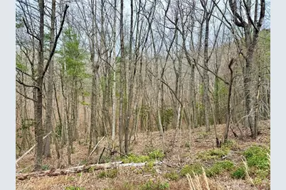 000 Big Rock Lane, Lowgap, NC 27024 - Photo 8