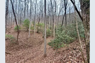 000 Big Rock Lane, Lowgap, NC 27024 - Photo 26