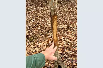 000 Big Rock Lane, Lowgap, NC 27024 - Photo 24