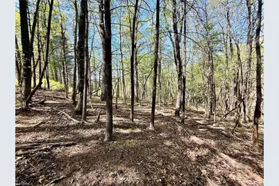 000 Big Rock Lane, Lowgap, NC 27024 - Photo 10