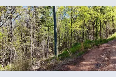 000 Big Rock Lane, Lowgap, NC 27024 - Photo 18