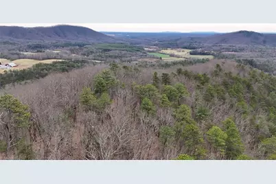 000 Big Rock Lane, Lowgap, NC 27024 - Photo 16