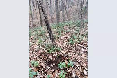 000 Big Rock Lane, Lowgap, NC 27024 - Photo 16