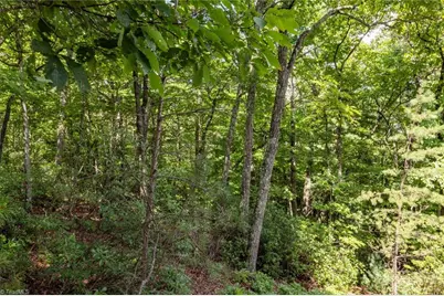 Lot 158 Carriage House Trail, McGrady, NC 28649 - Photo 4