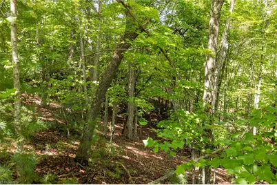 Lot 158 Carriage House Trail, McGrady, NC 28649 - Photo 6