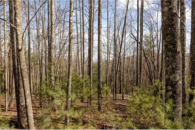 Tbd Fox Squirrel Circle, McGrady, NC 28649 - Photo 4