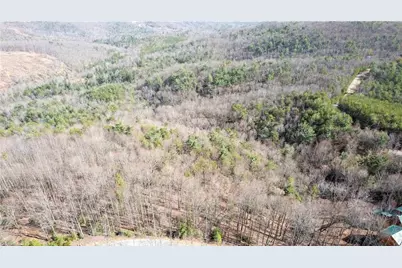 Tbd Fox Squirrel Circle, McGrady, NC 28649 - Photo 12