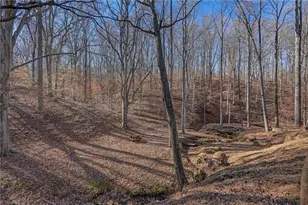 1325 Tellowee Rd, Eden, NC 27288 - Photo 46