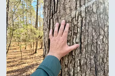 200 Harbor Drive E, Lexington, NC 27295 - Photo 8