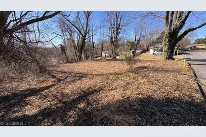 .49 Ac Linville Road, Mount Airy, NC 27030 - Photo 8