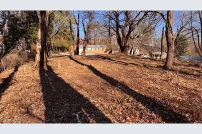 .59 Ac Linville Road, Mount Airy, NC 27030 - Photo 10