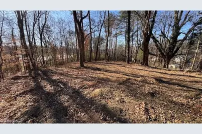 .59 Ac Linville Road, Mount Airy, NC 27030 - Photo 12