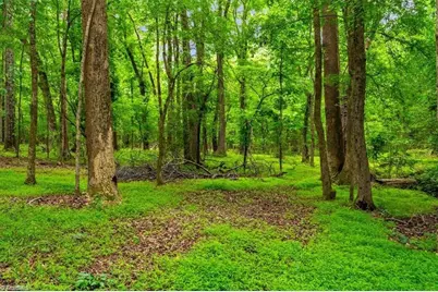 4135/4139 Pleasant Garden Road, Greensboro, NC 27406 - Photo 10