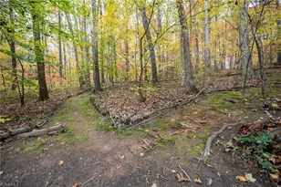 176 Forest Meadow Ln, Clemmons, NC 27012 - Photo 38