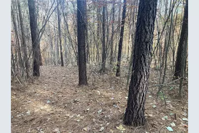 265 Fuller Mill Road N, Trinity, NC 27370 - Photo 42