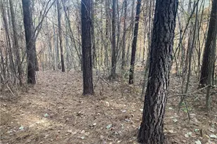 265 Fuller Mill Rd N, Trinity, NC 27370 - Photo 42