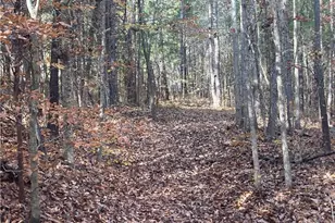 265 Fuller Mill Rd N, Trinity, NC 27370 - Photo 44