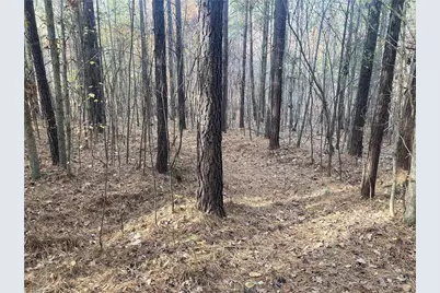 265 Fuller Mill Road N, Trinity, NC 27370 - Photo 40