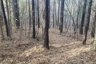 265 Fuller Mill Rd N, Trinity, NC 27370 - Photo 40