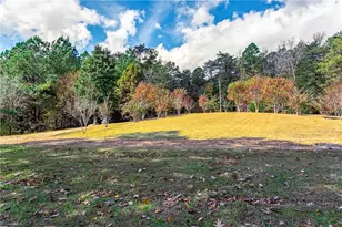 9654 Nc Hwy 119 N, Semora, NC 27343 - Photo 14