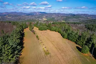 339 Stillhouse Branch Rd, Laurel Springs, NC 28644 - Photo 42