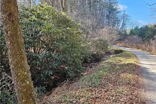 339 Stillhouse Branch Rd, Laurel Springs, NC 28644 - Photo 50