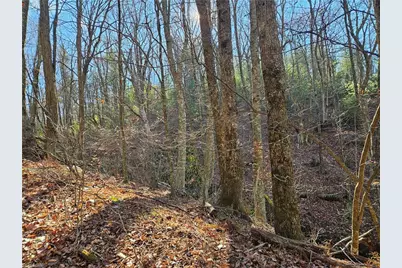 339 Stillhouse Branch Road, Laurel Springs, NC 28644 - Photo 48