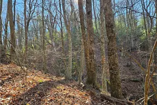 339 Stillhouse Branch Rd, Laurel Springs, NC 28644 - Photo 48